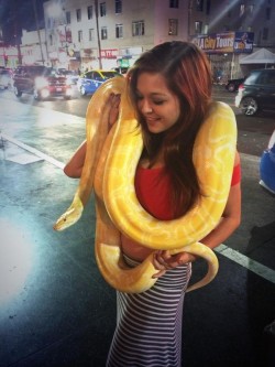 Tessa Fowler with a giant snake